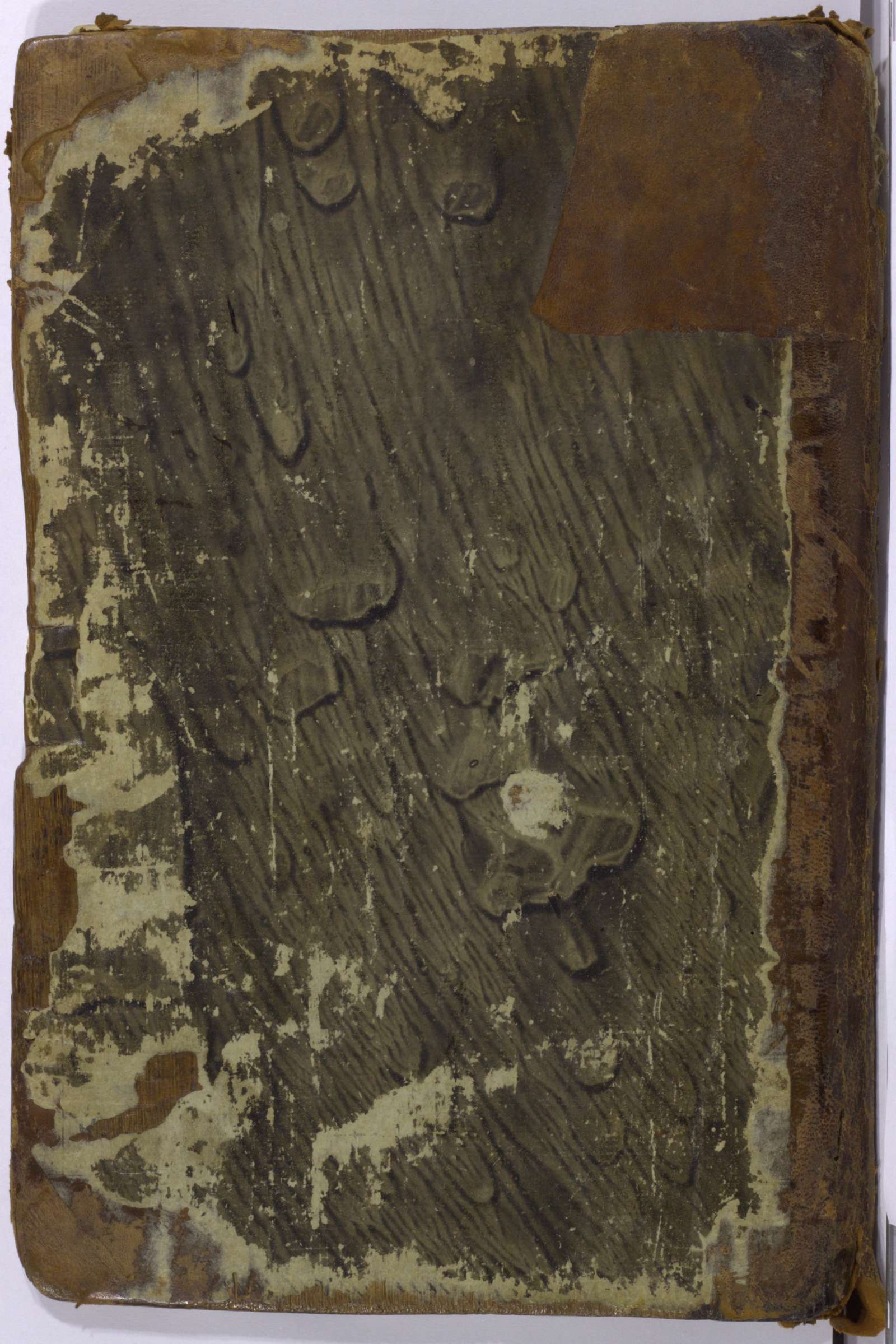 PL_1_4_1-005_9999-okladka