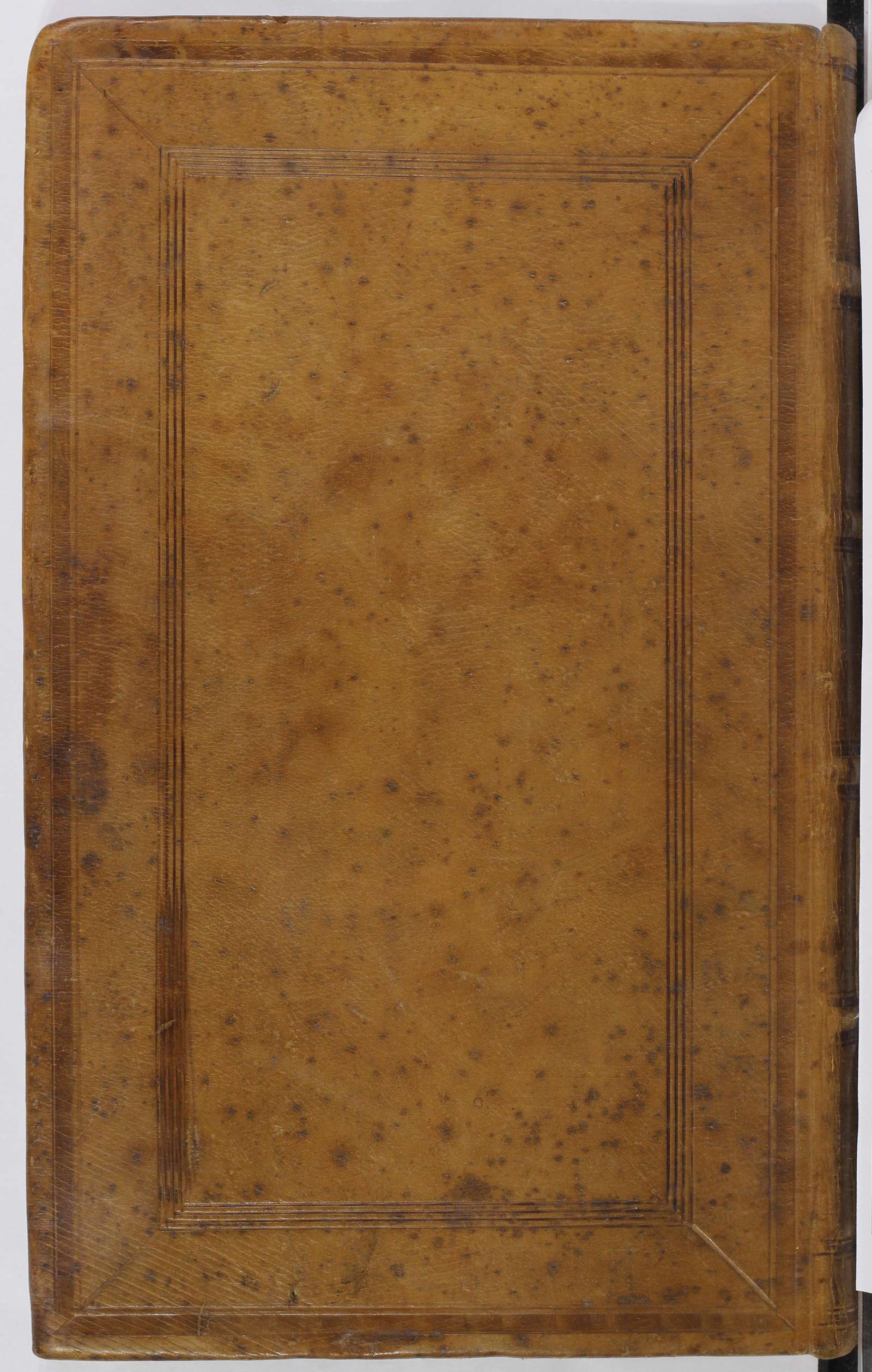 PL_1_4_1-255_9999-okladka