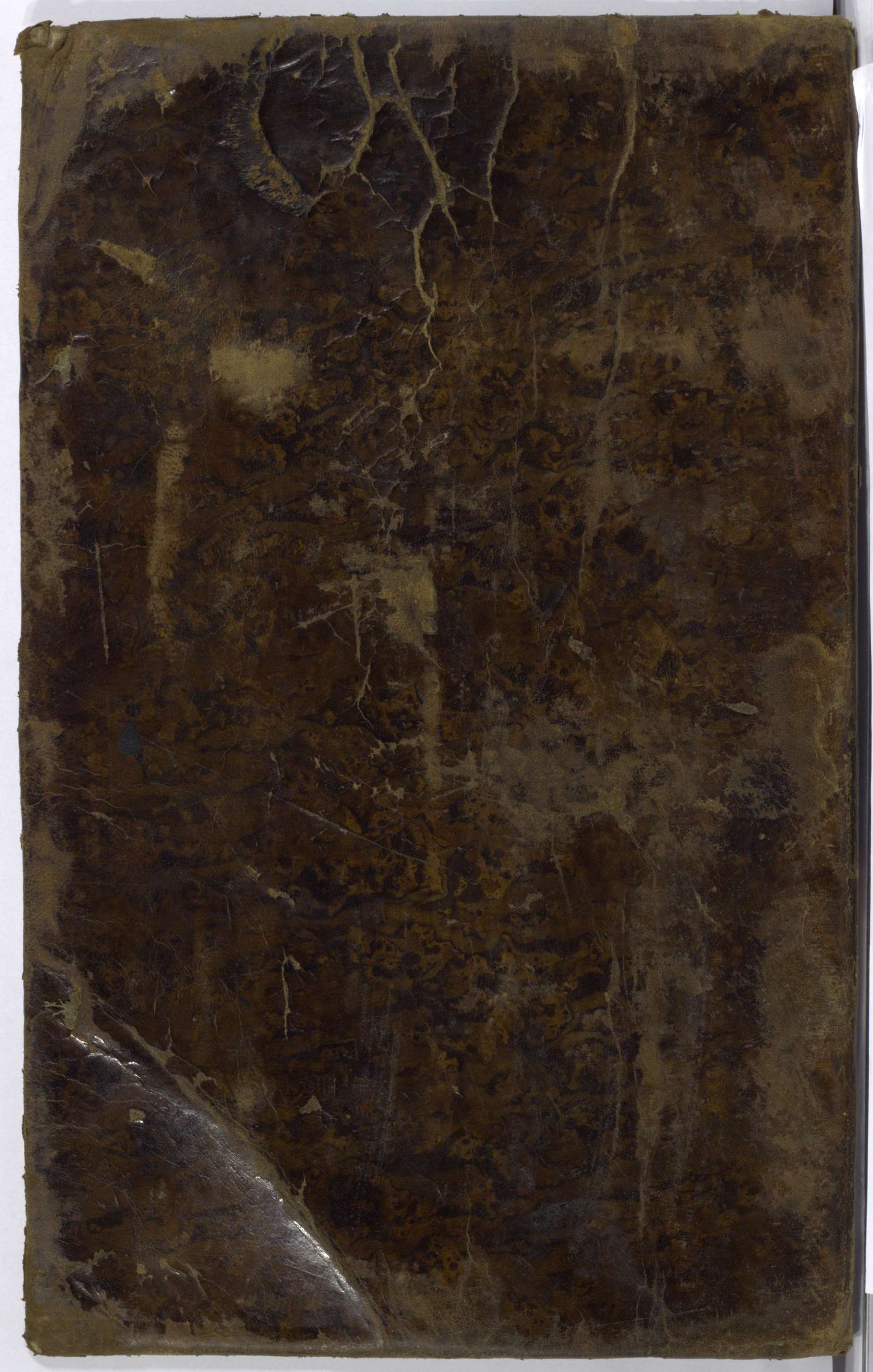 PL_1_4_1-293_9999-okladka