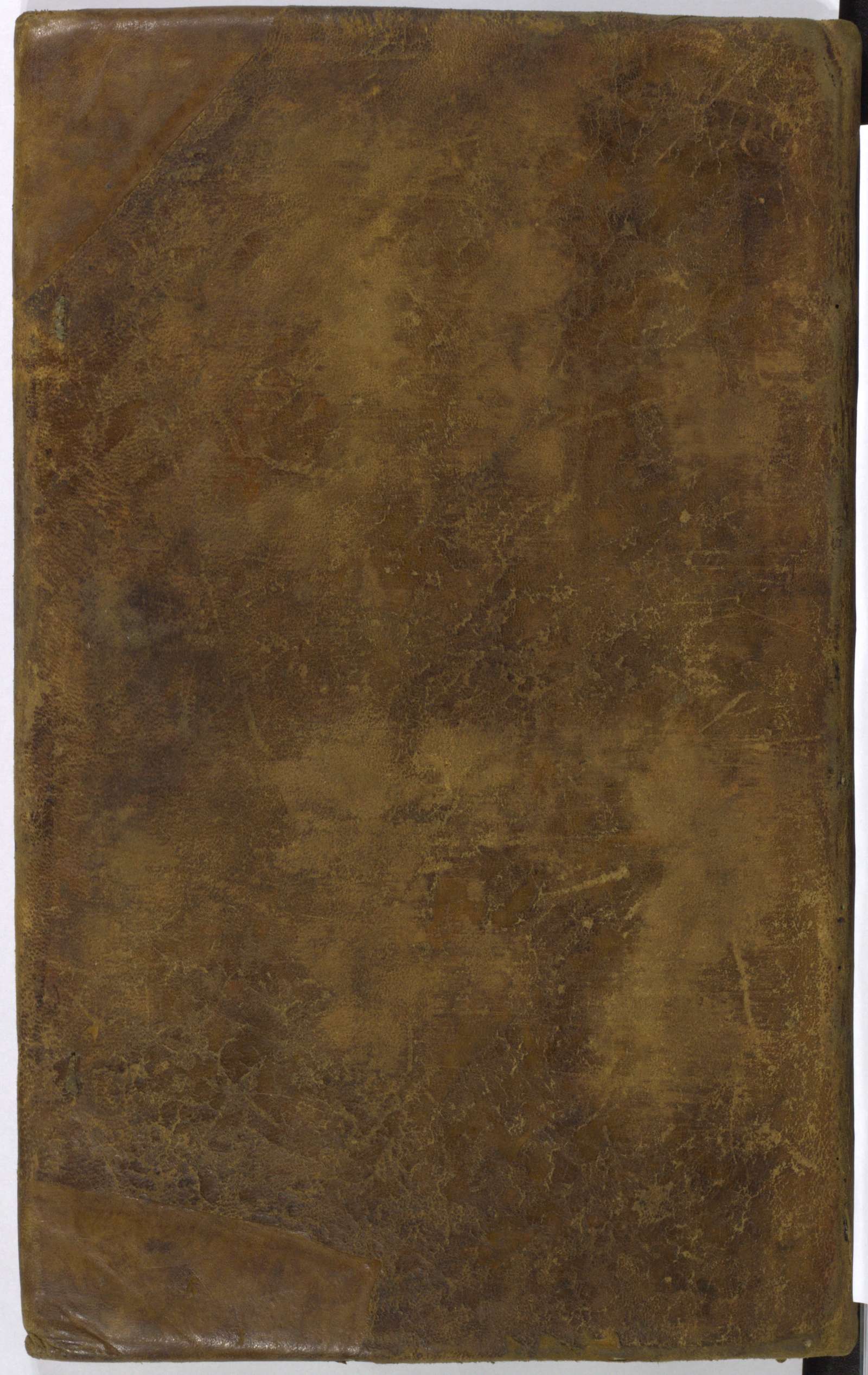 PL_1_4_1-295_9999-okladka