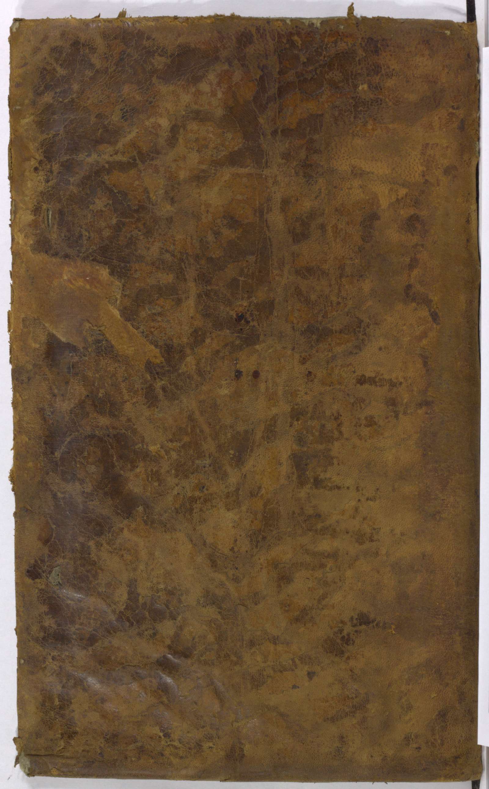 PL_1_4_1-296_9999-okladka