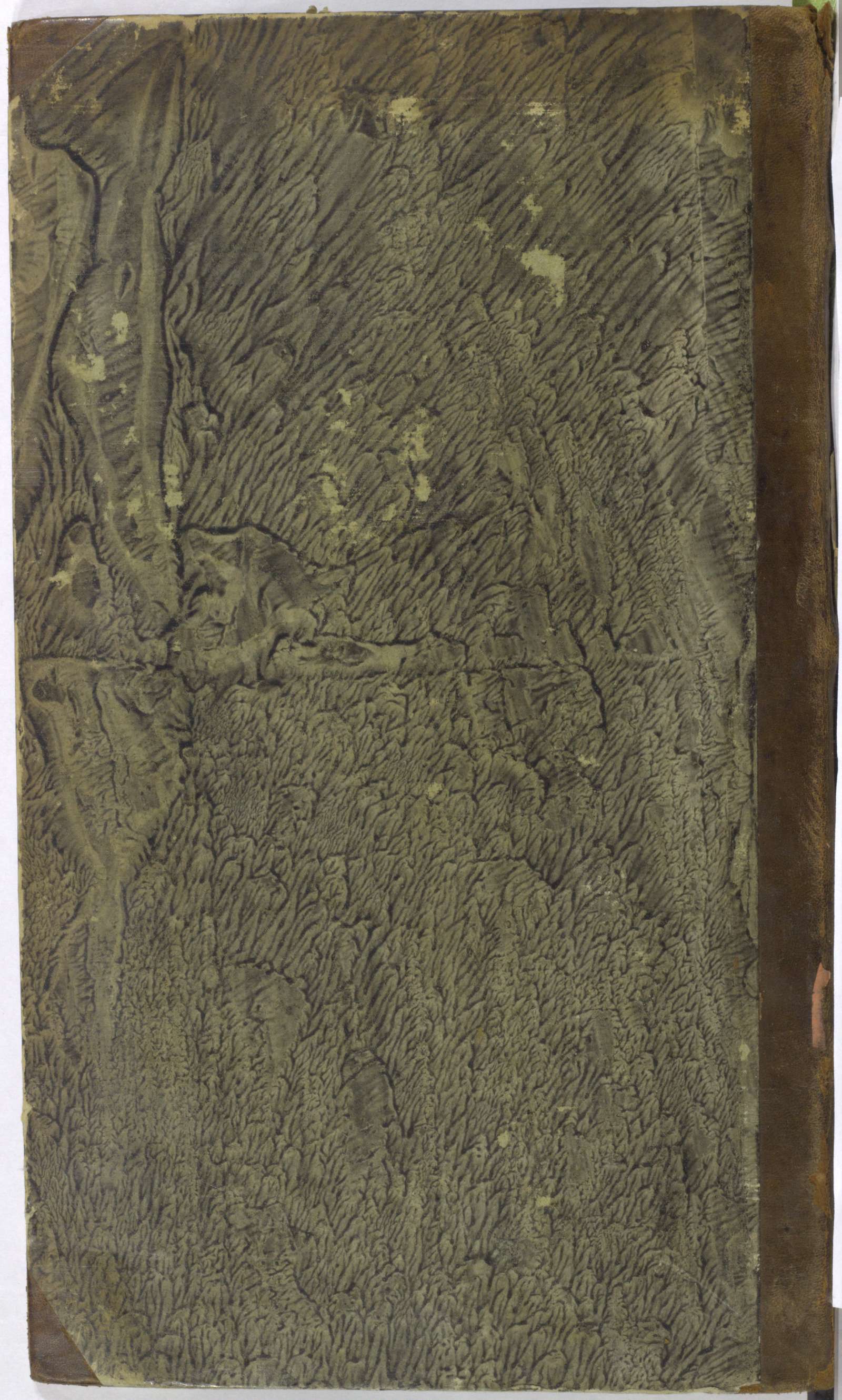 PL_1_4_1-373_9999-okladka