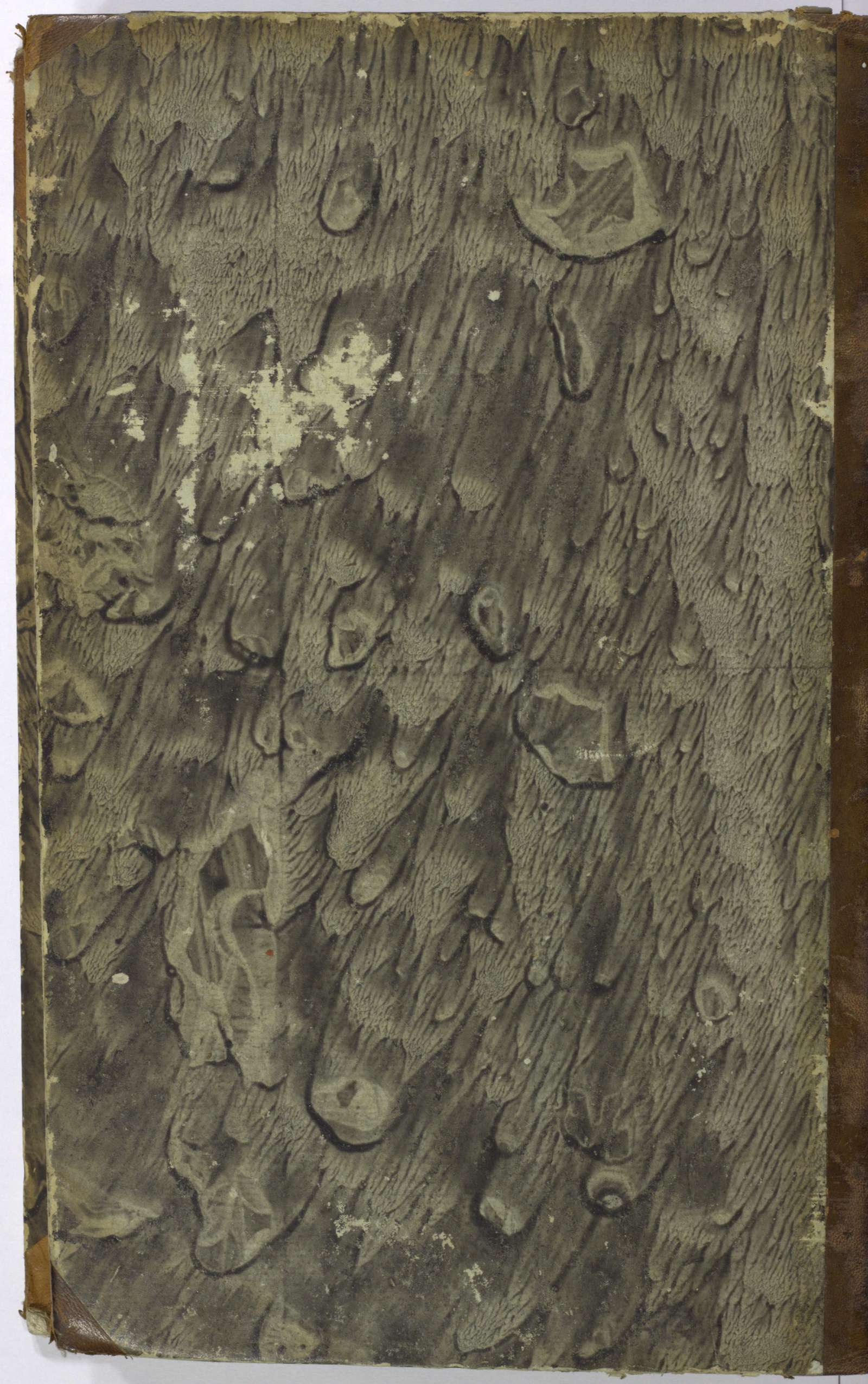 PL_1_4_1-378_9999-okladka