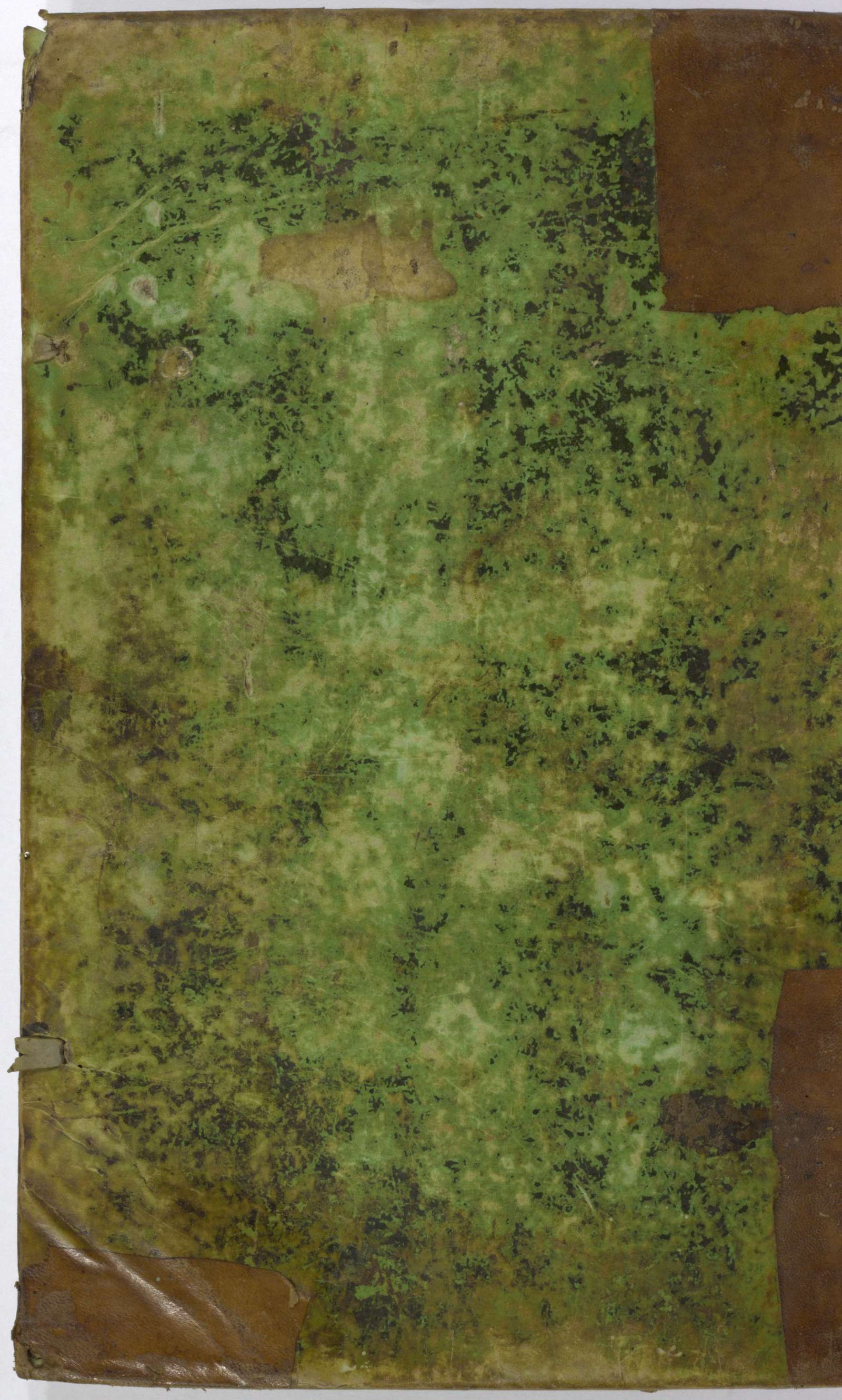 PL_1_4_1-393_9999-okladka