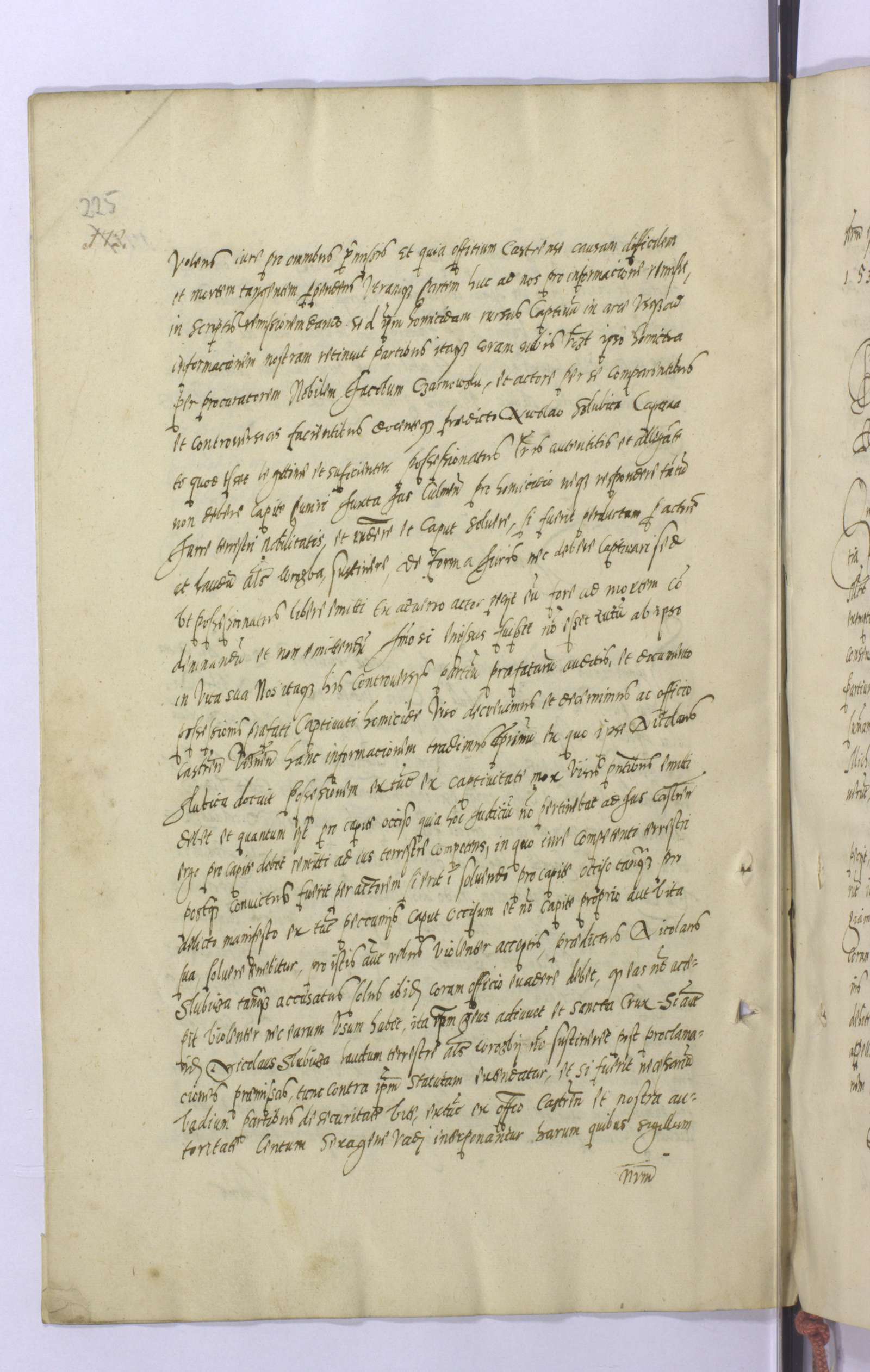 PL_1_4_1-dzIIAnr5_0229