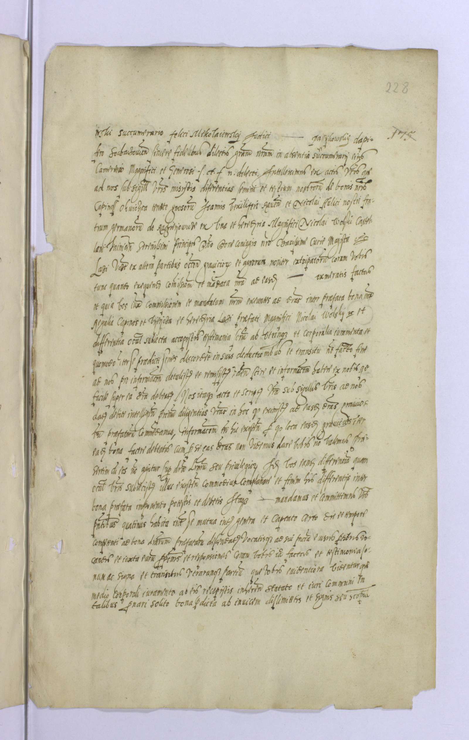 PL_1_4_1-dzIIAnr5_0232